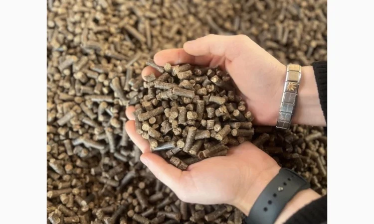 Пеллеты из твёрдой породы древесины – качественное топливо для отопления - фото № 1