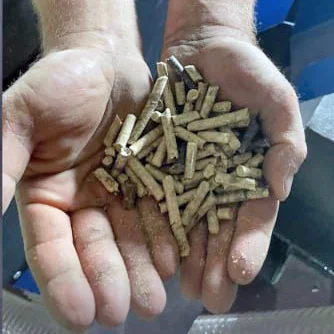 Паливні пелети, паливна гранула, пилета деревна - фото № 1