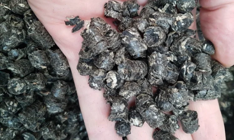 Пеллеты из чистой лузги подсолнечника - фото № 3