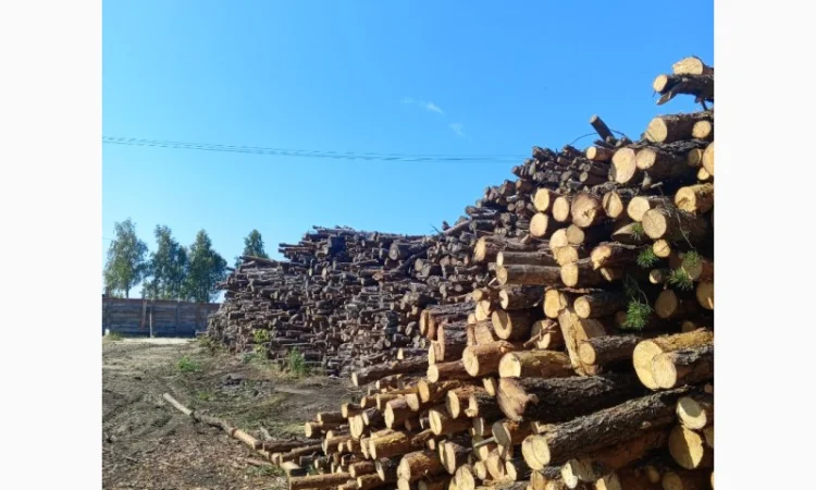 Пропонуємо високоякісні паливні пелети - фото № 2