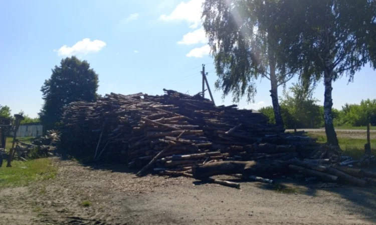 Запрошуємо до співпраці по реалізації паливних пелет - фото № 1