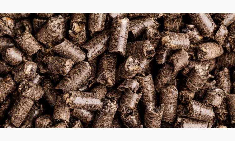 Паливна пелета із лушпиння соняшника - фото № 1