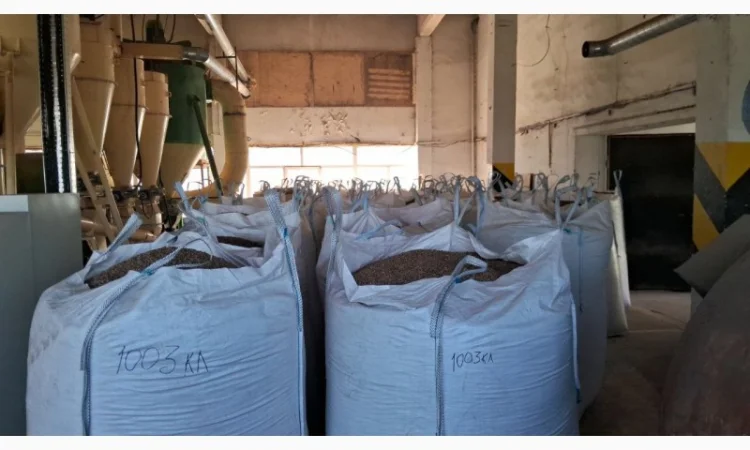 Паливні пелети - фото № 2