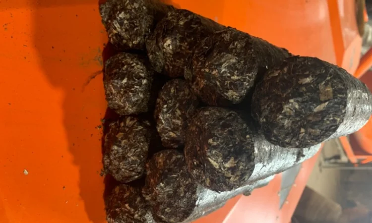 Продам пеллету из лузги подсолнуха - фото № 4