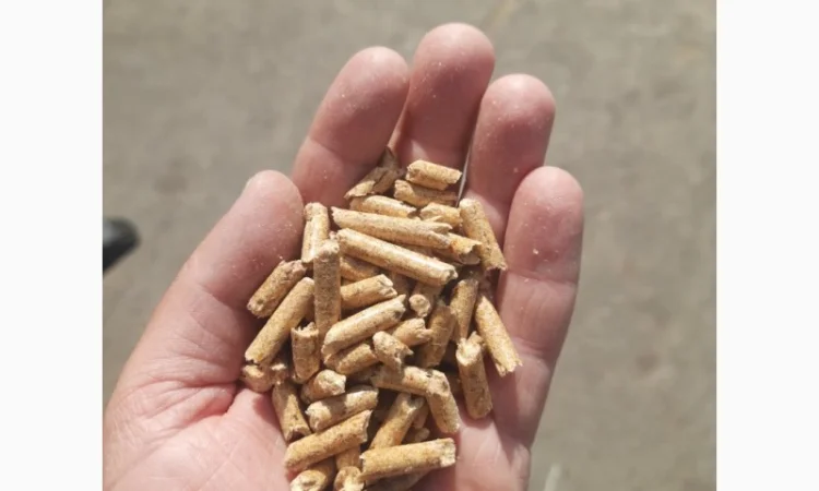 Пелета паливна - фото № 1