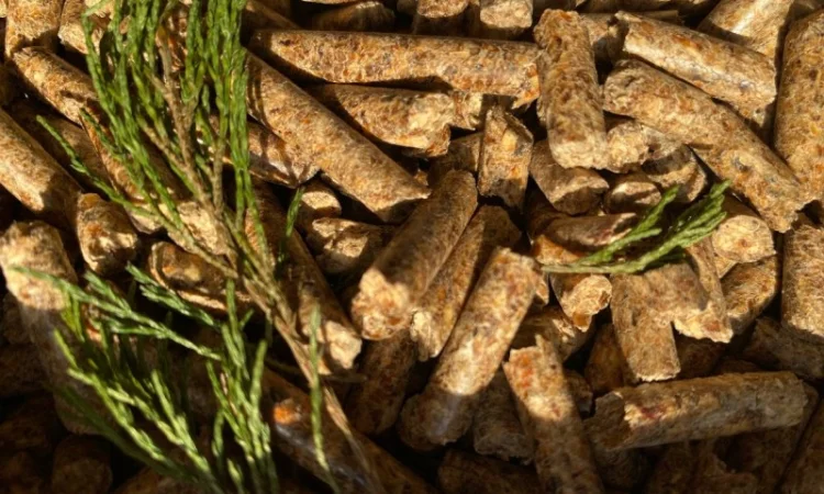 Продам соснову паливну пелету - фото № 1