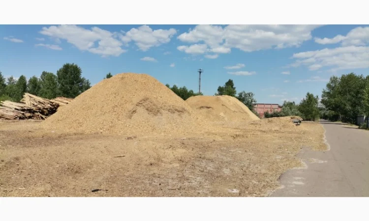 Продам Щепу паливну, порода сосна - фото № 1