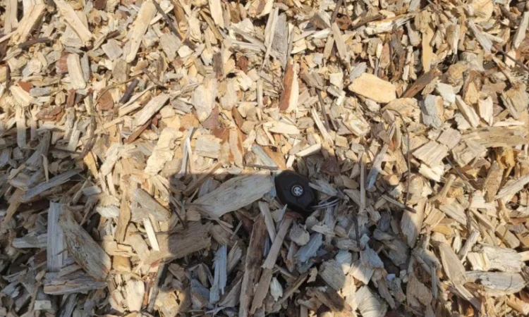 Продам Щепу паливну, порода сосна - фото № 5