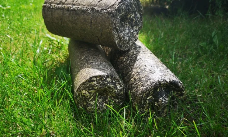 Пелети та брикети з лушпиння - фото № 1