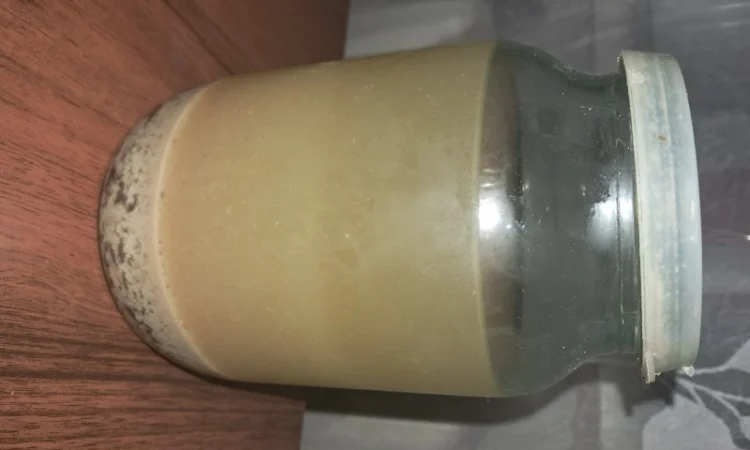 Продам настоянку мелених плодів кінського каштану від варикозу - фото № 1