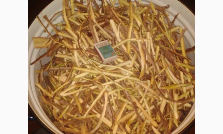 Продам суху кору бузини - фото № 1