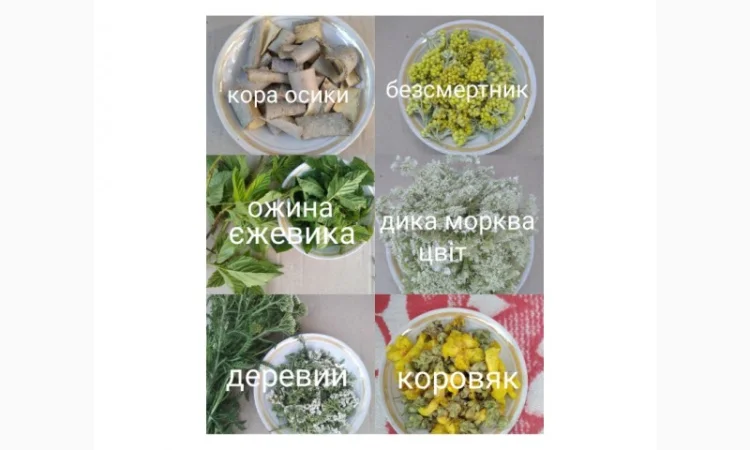 Лікарські трави та коріння - фото № 3