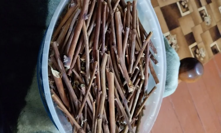 Гілка малини - фото № 1