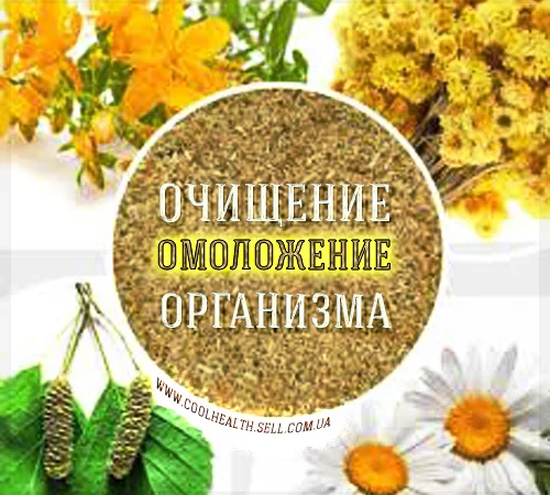 Тибетский Очищающий Сбор - фото № 2