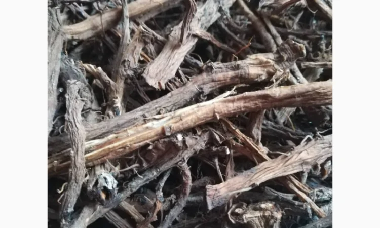 Купую корінь кульбаби сухий - фото № 1