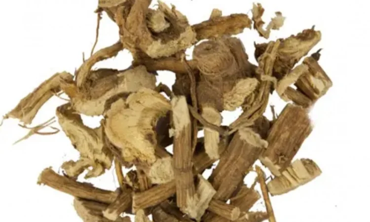 Куплю корінь алтея - фото № 1