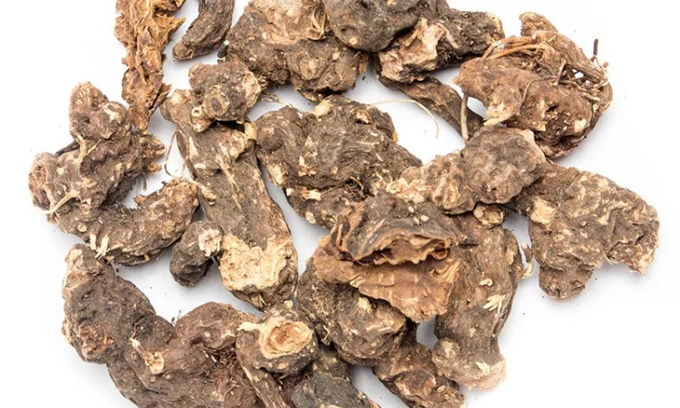 Купим от населения корень калгана, алтея, кульбабы, лопух, живокость - фото № 1