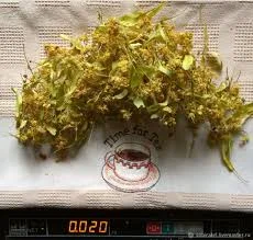 Купуємо сухий цвіт бузини та свіжозірваний цвіт липи - фото № 1