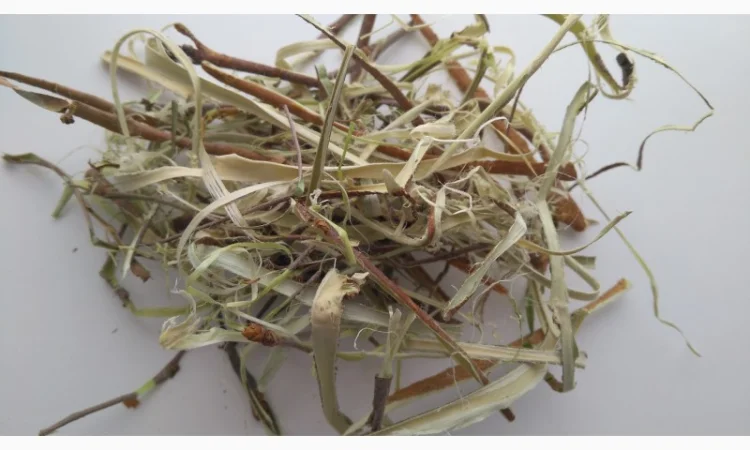 Продам кору шовковиці 200 грн - фото № 1