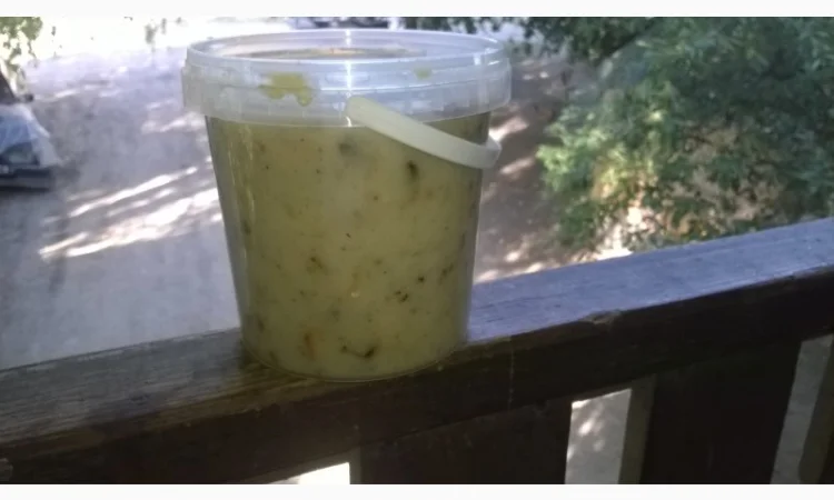 Живица сосны Смола сосни - фото № 1