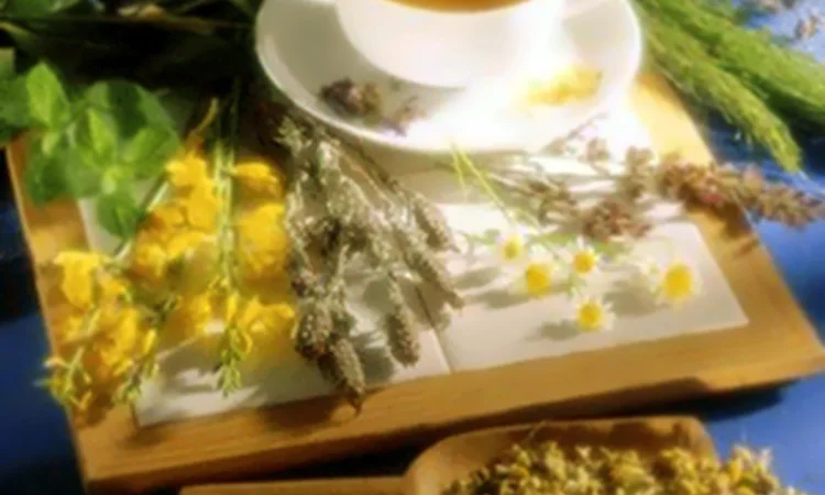 Продам лекарственные травы - фото № 1