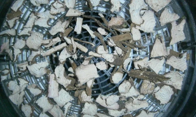 Сроно продам корень лаконоса американского резаный, сушеный - фото № 2