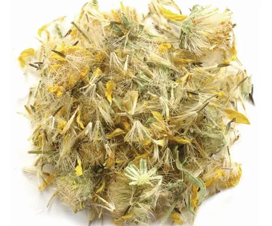 Арніка гірської квітки (Карпати) - фото № 1