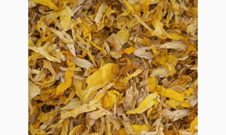 Куплю пелюстки соняшнику - фото № 3