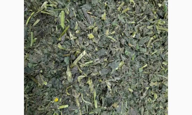 Продается мороженая крапива в мешке 12 кг - фото № 1