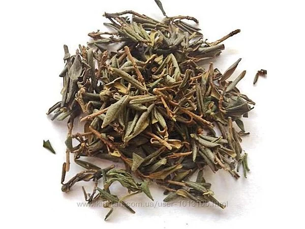 Чайный куст - Китай - фото № 1