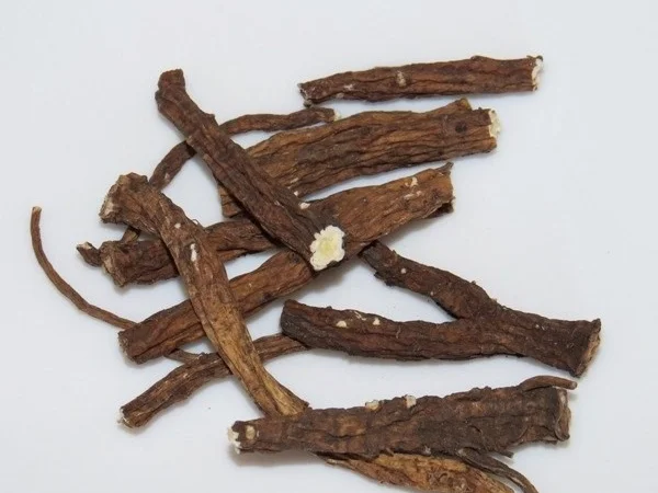 Корень одуванчика - фото № 1