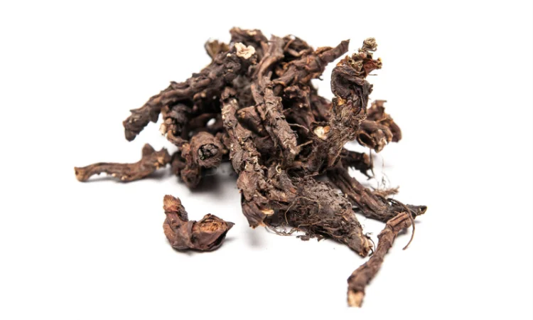 Гравилат городской – лечебные свойства и применение - фото № 5