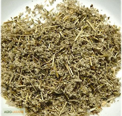 Трава пол пола - фото № 1