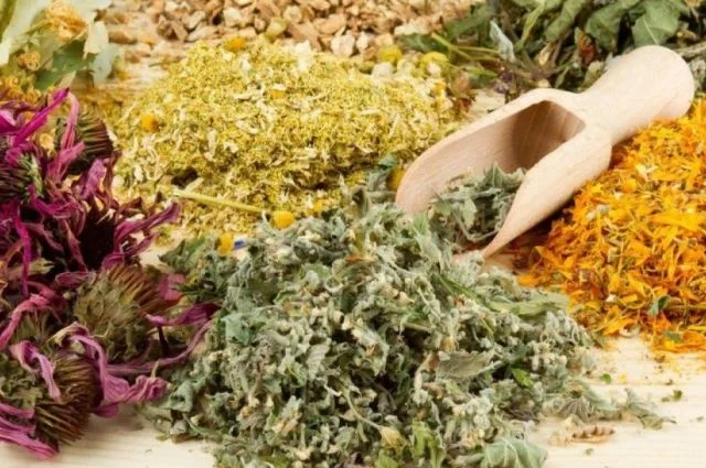 Очищающий омолаживающий сбор - фото № 1