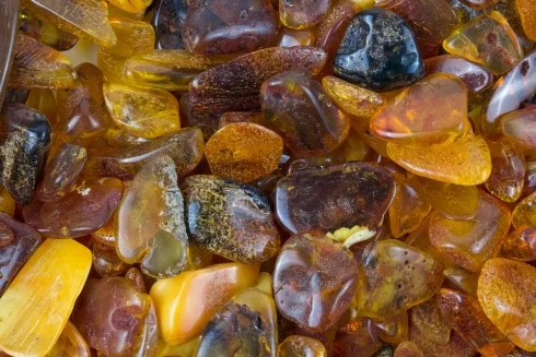 Бальзам ЯХвА -5 с янтарём - фото № 2