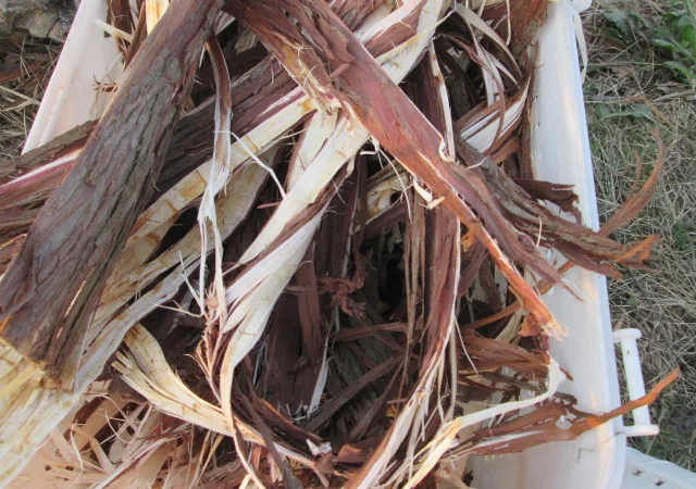 Кора можжевельника, Карпат, эко натур Juniperus communis - фото № 2