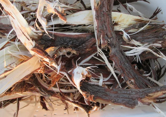 Кора можжевельника, Карпат, эко натур Juniperus communis - фото № 7