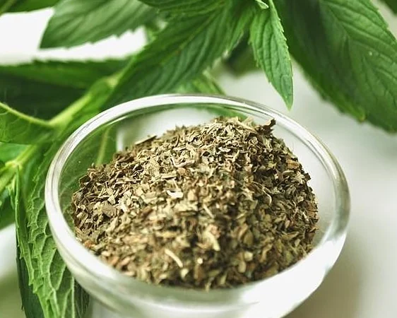 Мята сушеная - фото № 1