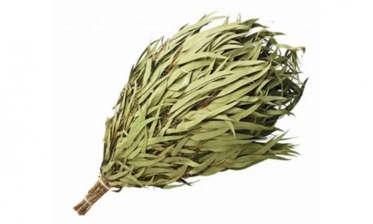 Эвкалиптовый веник, шт - фото № 1