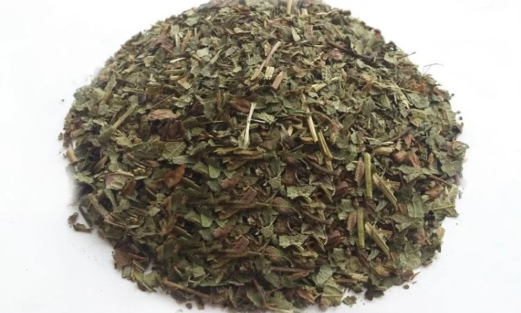 Земляника лесная (лист) 1 кг - фото № 1