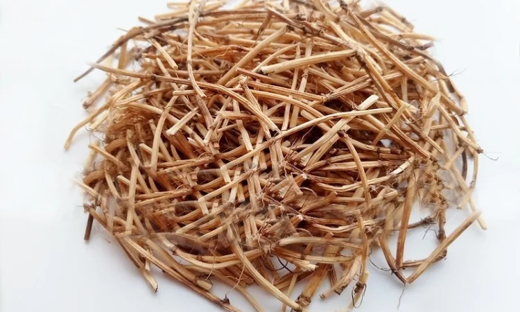 Пырей ползучий (корень) 1 кг - фото № 1