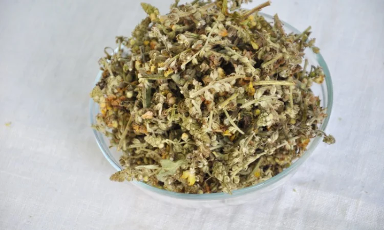 Коровяк (цветы) 1 кг - фото № 1