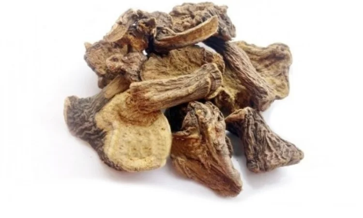 Щавель конский (корень) 1кг - фото № 1