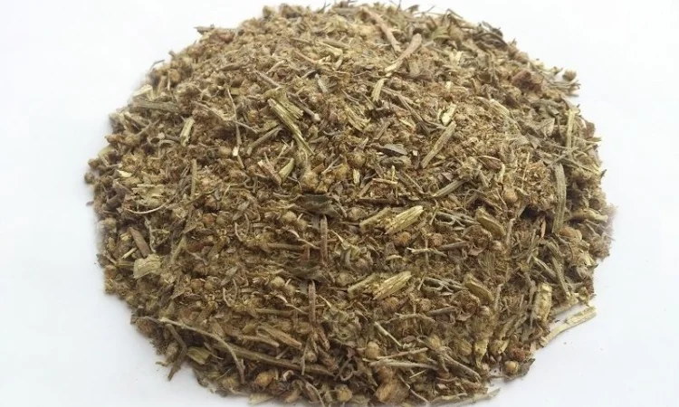 Полынь горькая (трава) 1 кг – натуральное лечебное средство - фото № 1