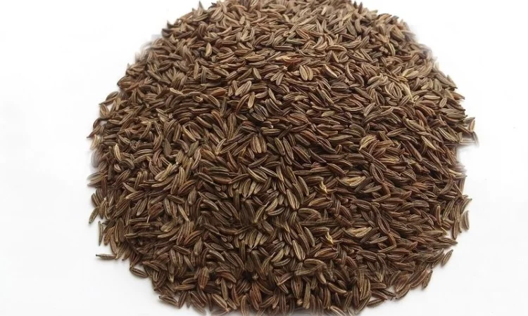 Тмин обыкновенный, 1кг - фото № 1