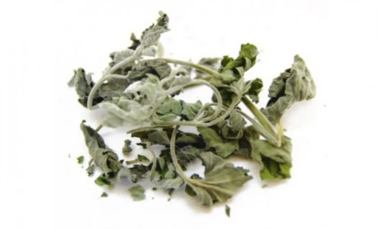 Котовник трава, 1кг - фото № 1