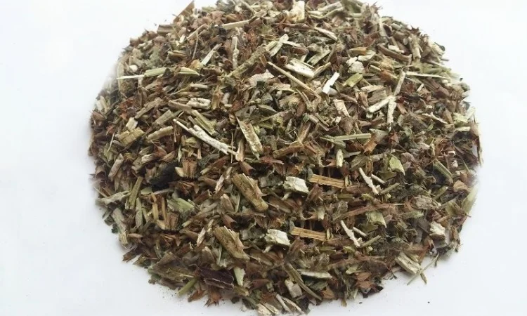 Пустырник (трава) 1кг - фото № 1