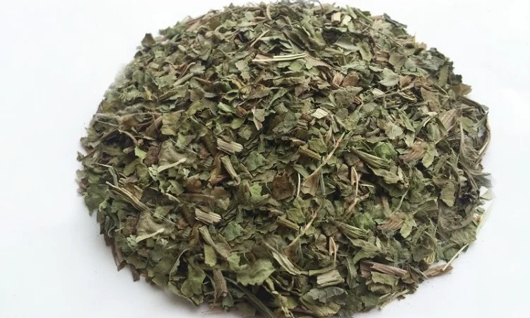 Подорожник 1кг - фото № 1