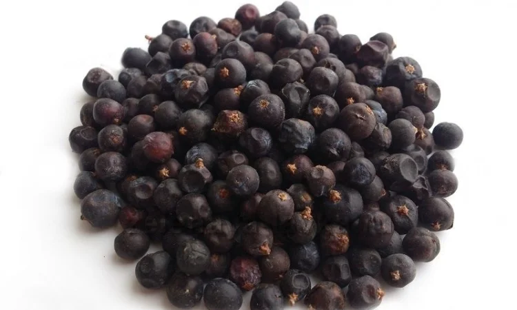 Можжевельник (плоды) 1кг - фото № 1