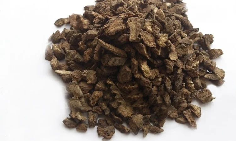 Лопух (корень) 1кг - фото № 1